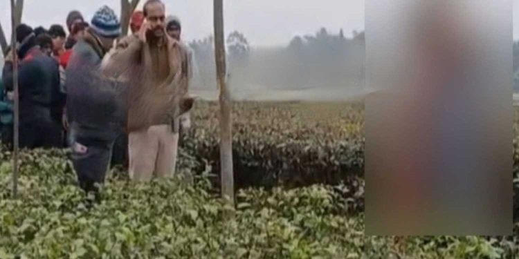 পরকীয়ার মর্মান্তিক পরিনতি : ময়নাগুড়ির চা বাগানে বধূ ও যুবকের যুগলের ঝুলন্ত দেহ উদ্ধার