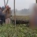 পরকীয়ার মর্মান্তিক পরিনতি : ময়নাগুড়ির চা বাগানে বধূ ও যুবকের যুগলের ঝুলন্ত দেহ উদ্ধার 