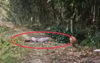 সদ্যজাত জীবিত শিশুকন্যাকে হাইব্রিড মাগুর মাছের খাবার জন্য পুকুরের জলে ফেলে দিয়ে  পালালো বাবা-মা 