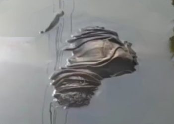 ফের এক হিন্দু খুন বাংলাদেশে, এবারে নিখোঁজের ৪ দিন পর পুকুর থেকে উদ্ধার নাটোরের নিমাই দাস নামে এক প্রৌঢ়ের দেহ