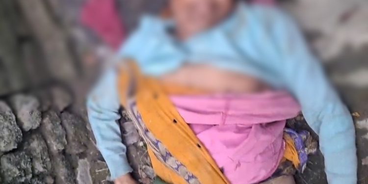 সোনার গহনার লোভে বৃদ্ধাকে নৃশংসভাবে খুন, দুল খুলতে না পেরে দুই কান কেটে নিয়ে গেল দুষ্কৃতীরা 