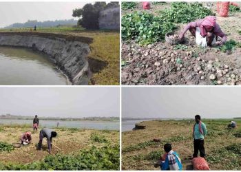 ভাগিরথিতে অকাল ভাঙনে মাথায় হাত পূর্বস্থলীর শব্জি চাষিদের, জমছে ক্ষোভ 