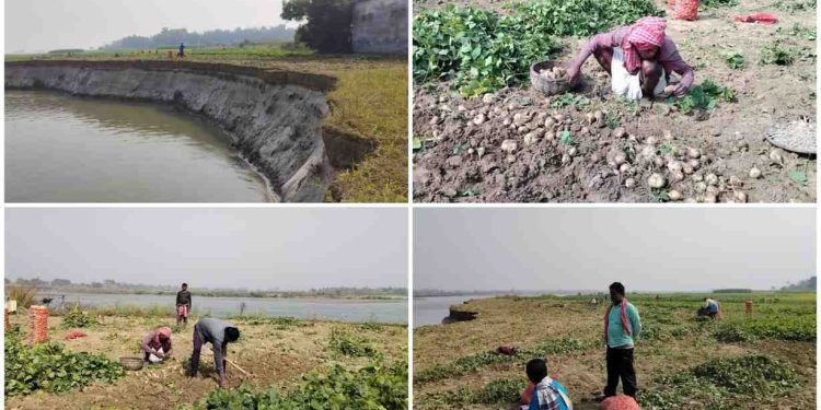 ভাগিরথিতে অকাল ভাঙনে মাথায় হাত পূর্বস্থলীর শব্জি চাষিদের, জমছে ক্ষোভ 