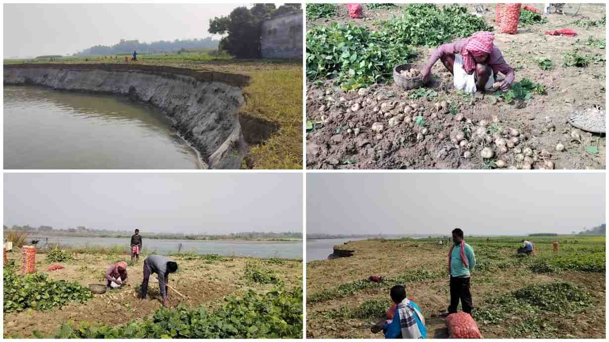 ভাগিরথিতে অকাল ভাঙনে মাথায় হাত পূর্বস্থলীর শব্জি চাষিদের, জমছে ক্ষোভ