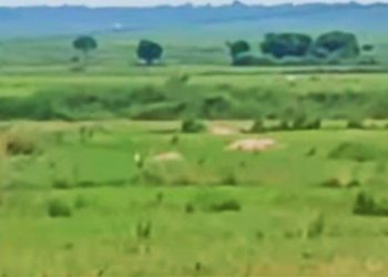 সীমান্তে কাঁটাতারের বেড়া নির্মাণে তৃণমূল সরকারের সদিচ্ছা নিয়ে শুধু বিজেপি নয়,খোদ প্রশ্ন তুললেন মালদার স্থানীয় কৃষকরাও