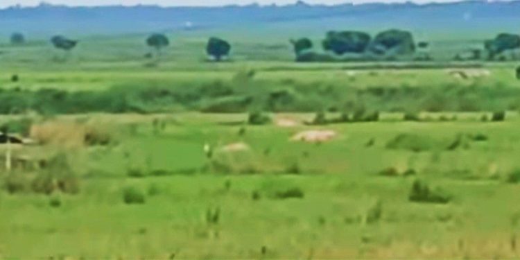 সীমান্তে কাঁটাতারের বেড়া নির্মাণে তৃণমূল সরকারের সদিচ্ছা নিয়ে শুধু বিজেপি নয়,খোদ প্রশ্ন তুললেন মালদার স্থানীয় কৃষকরাও