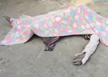 নিখোঁজ হওয়ার ২৪ ঘন্টার মধ্যে বাড়ি থেকে ২ কিমি দূরে যুবকের রক্তাক্ত দেহ উদ্ধার 