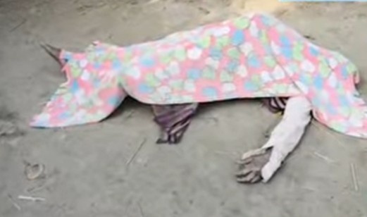 নিখোঁজ হওয়ার ২৪ ঘন্টার মধ্যে বাড়ি থেকে ২ কিমি দূরে যুবকের রক্তাক্ত দেহ উদ্ধার 