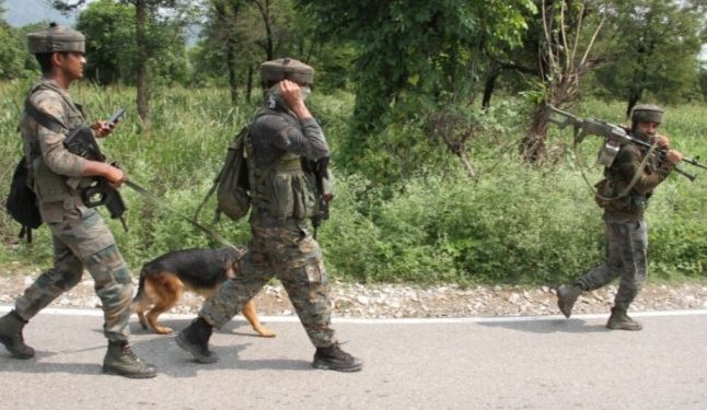 ছত্তিশগড়ে এনকাউন্টারে খতম   দুই নকশাল ; দুই দিনে মৃতের সংখ্যা বেড়ে হল ৬ 