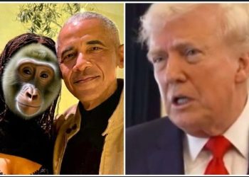 বারাক ওবামা এবং তার স্ত্রীকে বানরের সাথে তুলনা করলেন ট্রাম্প 