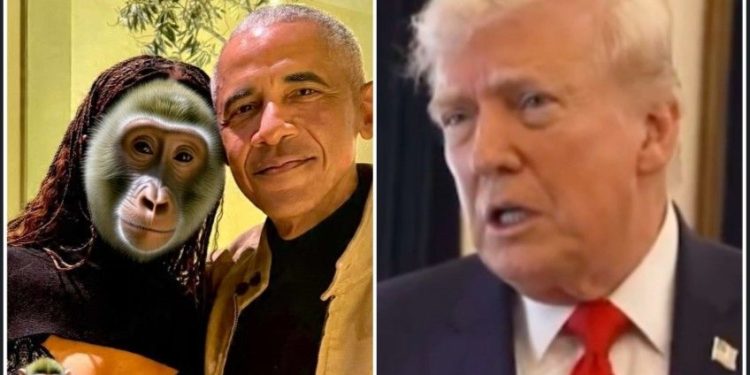 বারাক ওবামা এবং তার স্ত্রীকে বানরের সাথে তুলনা করলেন ট্রাম্প 