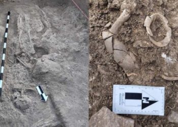 কর্ণাটকের বেল্লারি জেলার টেক্কালাকোটে খননের সময় প্রায় ৫০০০ বছরের মানব কঙ্কাল আবিষ্কার 