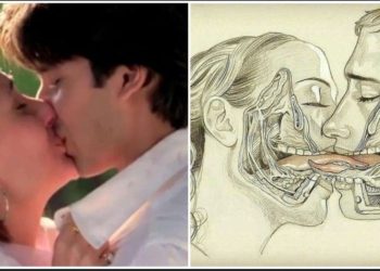 স্ত্রী-পুরুষের চুম্বনে কি উপকার জানেন ? চুম্বন সম্পর্কে এই ১০টি মনস্তাত্ত্বিক তথ্য জানলে অবাক হয়ে যাবেন 