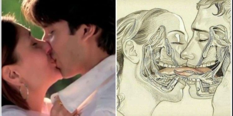 স্ত্রী-পুরুষের চুম্বনে কি উপকার জানেন ? চুম্বন সম্পর্কে এই ১০টি মনস্তাত্ত্বিক তথ্য জানলে অবাক হয়ে যাবেন 