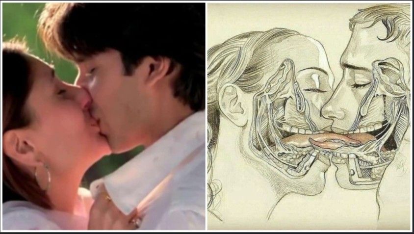 স্ত্রী-পুরুষের চুম্বনে কি উপকার জানেন ? চুম্বন সম্পর্কে এই ১০টি মনস্তাত্ত্বিক তথ্য জানলে অবাক হয়ে যাবেন 