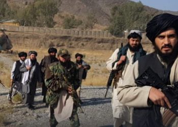 বুধবার ১৪ জায়গায় হামলা চালিয়ে ১২ জন পাকিস্তানি সেনাকে মেরেছি : বিবৃতিতে জানালো পাকিস্তানি তালিবান আন্দোলন 