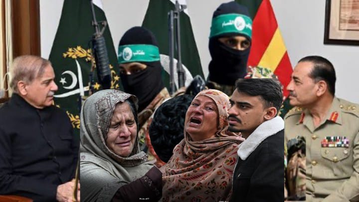 পাকিস্তান সরকারের লালিত পালিত সন্ত্রাসী গোষ্ঠী ইসলামি স্টেট এখন তাদেরই মাথাব্যথার কারন হয়ে দাঁড়িয়েছে 