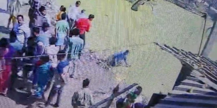 উচ্চ মাধ্যমিক পরীক্ষার্থীকে নির্মমভাবে মারধরের অভিযোগ উঠল বর্ধমানের খণ্ডঘোষের তৃণমূল নেতা শেখ সাহাদ আলির বিরুদ্ধে ; মাটিতে ফেলে লাথি মারার পর ওই কিশোরকে তুলে পুকুরে জলে ছুড়ে তৃণমূল নেতা ও তার বাহিনী 