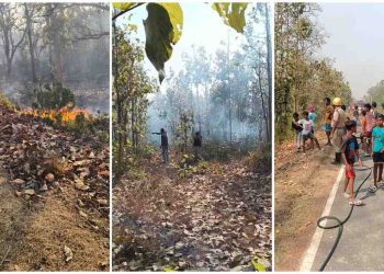 দাউদাউ করে জ্বলে উঠল আউশগ্রামের জঙ্গলমহল, অল্পের জন্য বেঁচে গেল বন্যপ্রাণীরা   