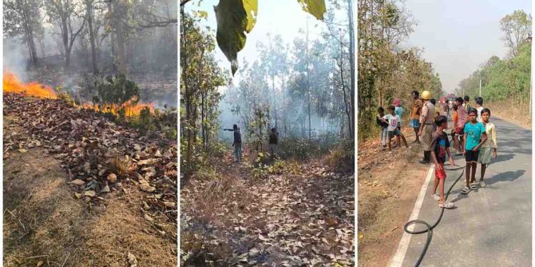 দাউদাউ করে জ্বলে উঠল আউশগ্রামের জঙ্গলমহল, অল্পের জন্য বেঁচে গেল বন্যপ্রাণীরা   