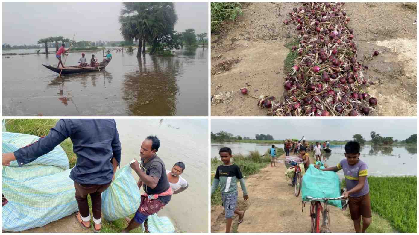 কাটোয়ার প্রায় ১,৫০০ পিঁয়াজ ও ধান চাষিকে পথে বসিয়ে দিল টানা ঘন্টা পাঁচেক বৃষ্টি ও শিলাবৃষ্টি 