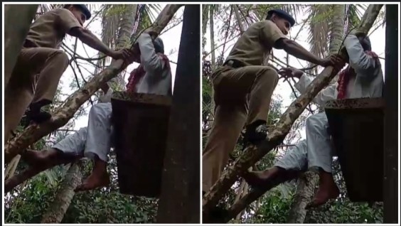 ছাদ থেকে গাছ বেয়ে নিচে নামতে গিয়ে মাঝ পথে আটকে গেলেন ৯০ বছরের “গেছুড়ে” বৃদ্ধ, হুলুস্থুল কান্ড বেধে গেল কাটোয়ায় 