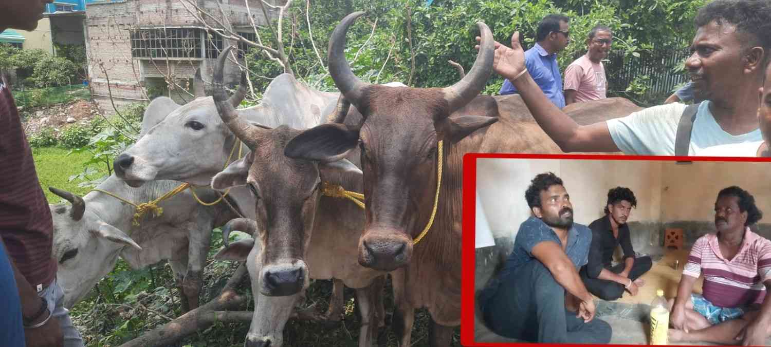 কাটোয়ায় ৪ গরু পাচারকারীকে বেদম পিটিয়ে পুলিশের হাতে তুলে দিলেন ক্ষিপ্ত জনতা, উদ্ধার ৫ টি গরু 
