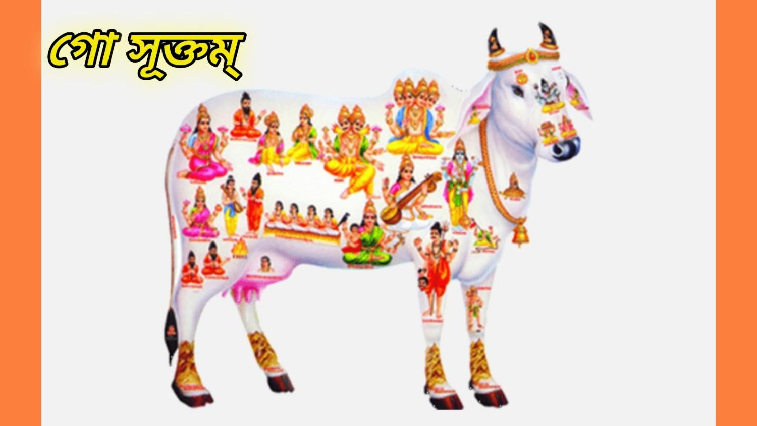 অর্থনৈতিক সমৃদ্ধি, শারীরিক পুষ্টি এবং মানসিক শান্তি আনতে ঋগ্বেদে উল্লিখিত গোমাতার এই মন্ত্র পাঠ করুন
