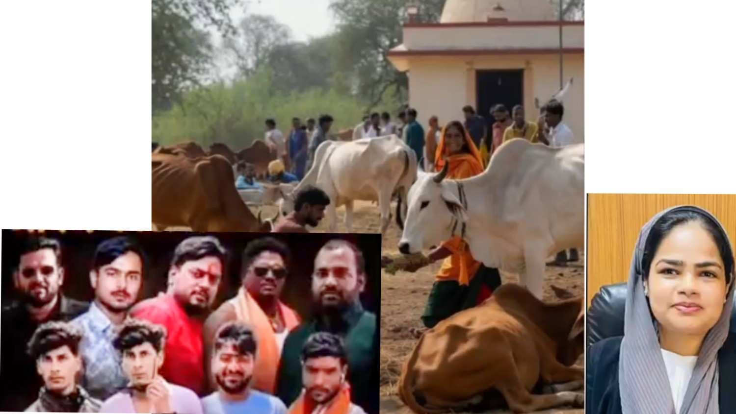 গরু পাচারকারীর মৃত্যুর ঘটনায় ১৪ জন গো-রক্ষককে যাবজ্জীবন কারাদণ্ড দিলেন মধ্যপ্রদেশের নর্মদাপুরমের দায়রা আদালতের বিচারক তাবাসসুম খান 