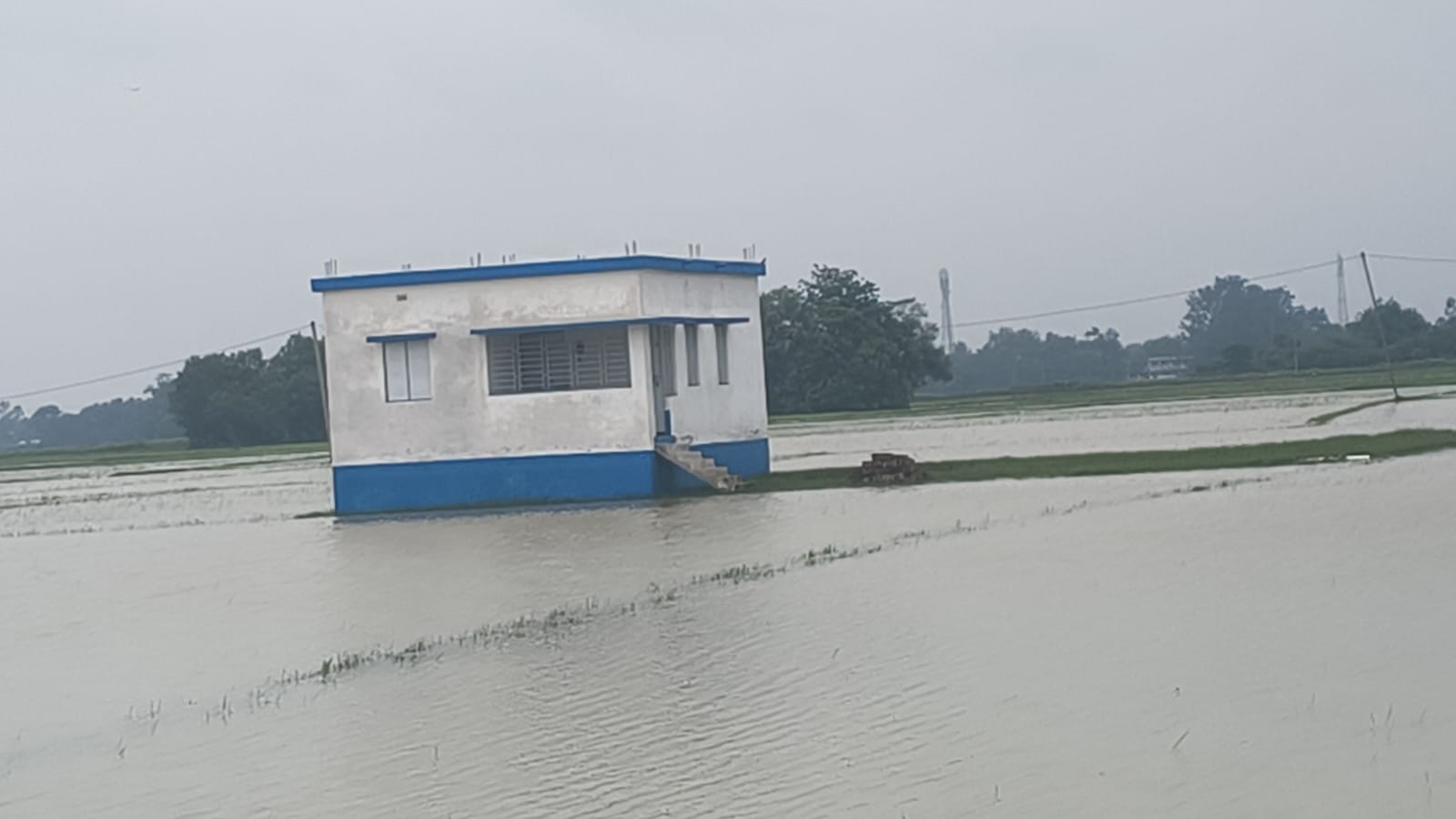 টানা বৃষ্টিতে প্লাবিত কাটোয়ার মুল্টিগ্রামের অঙ্গনওয়াড়ি কেন্দ্র, মাঠের মাঝে অপরিকল্পিতভাবে ভবন নির্মান করায় পূর্বতন তৃণমূল কংগ্রেস সরকারের উদ্দেশ্য নিয়ে উঠছে প্রশ্ন 