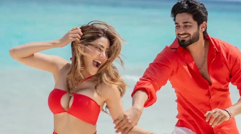 ‘বিগ বস মারাঠি ৫’ প্রতিযোগী নিকি ও আরবাজ ইনস্টাগ্রামে পরস্পরকে ‘আনফলো’ করার পর বিচ্ছেদের গুজব  