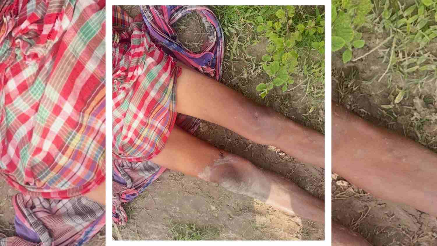 মাঠে কাজ করার সময় সাপের কামড়ে ভাতারের এক খেতমজুরের মর্মান্তিক মৃত্যু 