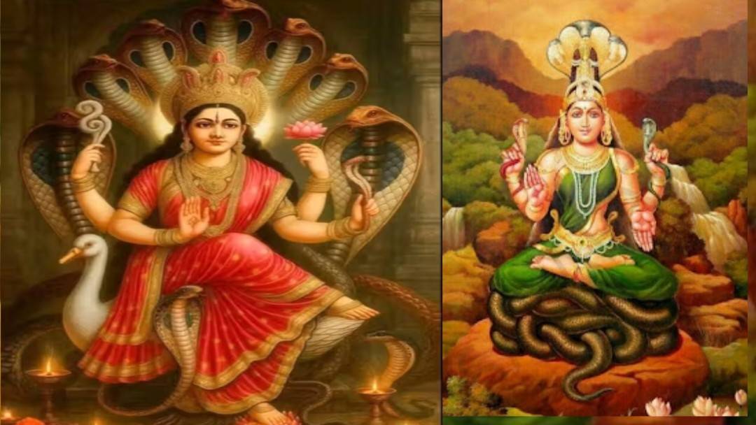 সর্প সূক্তম্  : সর্পভয় বা কালসর্প দোষ প্রতিকারে জপ করা হয়