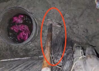 মালদার হরিশ্চন্দ্রপুরে বউদির হাতে দেওর খুন,গ্রেপ্তার ঘাতক, নেপথ্যে পরকীয়া সম্পর্ক!  