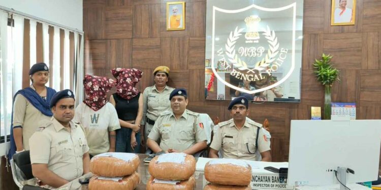 কাটোয়া থানার পুলিশের হাতে সাড়ে ১২ কেজি গাঁজাসহ ধরা পড়ল মাদকপাচারকারী ২ তরুনী 