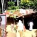 ফুলিয়ায় সিঁদ কেটে ঘরে ঢুকে ইঁট দিয়ে মুখ থেঁতলে মহিলাকে খুন, কুপ্রস্তাবে রাজি না হওয়ায় এই ঘটনা বলে দাবি পরিবারের 