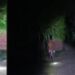 অষ্টমীর সন্ধ্যায় স্ত্রীকে বলি, বাবাকে কুপিয়ে খুন,বরাত জোরে প্রাণে বাঁচলো ভাই : দুর্গাপূজার আবহে ভয়াবহ ঘটনায় শিহরিত বাঁকুড়ার সোনামুখী