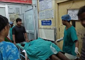 বৃদ্ধা শাশুড়িকে কুপিয়ে জখম করে গা ঢাকা দিল গুনধর ঘরজামাই