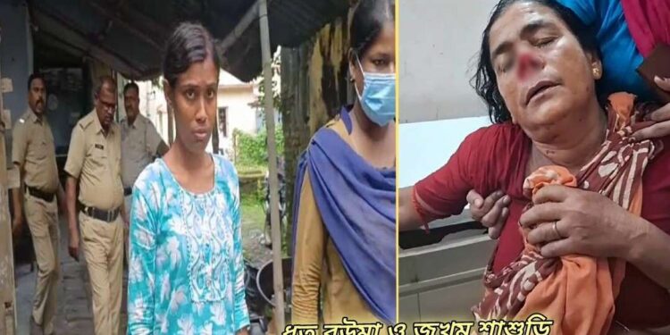 পারিবারিক বিবাদের জেরে কামড়ে শাশুড়ির নাক কেটে নিল বউমা 
