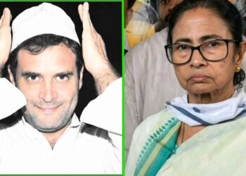 রাহুল গাঁধি প্রধানমন্ত্রী হলে কোনো অসুবিধা নেই মমতা ব্যানার্জির 