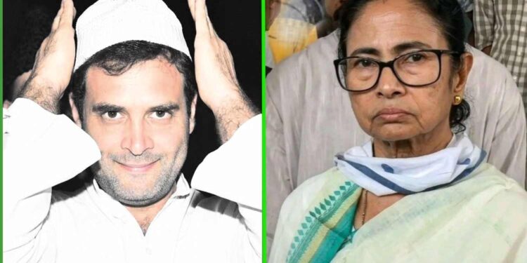 রাহুল গাঁধি প্রধানমন্ত্রী হলে কোনো অসুবিধা নেই মমতা ব্যানার্জির 